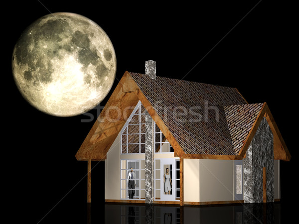 my house Stock photo © njaj