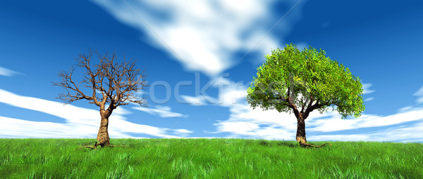 Leben toter Baum Gras Natur Landschaft Bereich Stock foto © njaj