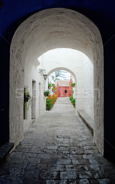 the monastery san sebastian arequipa Stock photo © njaj