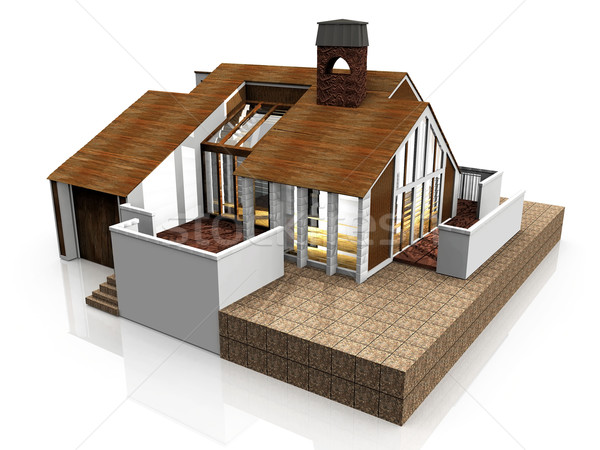 my house Stock photo © njaj