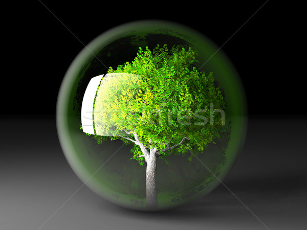 trre in bubble Stock photo © njaj