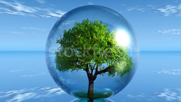 Tree in bubble Stock photo © njaj