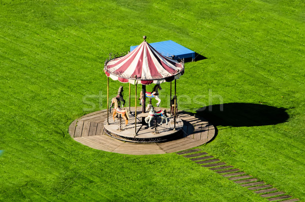 Körhinta zöld legelő gyermek sebesség park Stock fotó © njaj