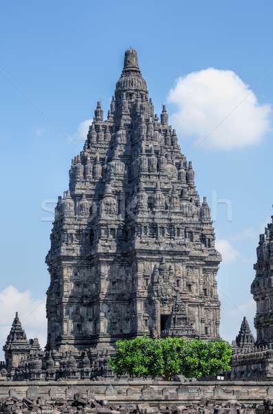 Jawa Indonezja kamień religii kultury świątyni Zdjęcia stock © njaj