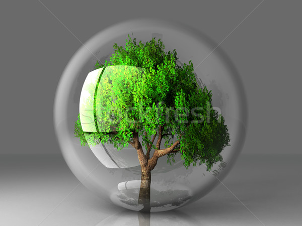 trre in bubble Stock photo © njaj