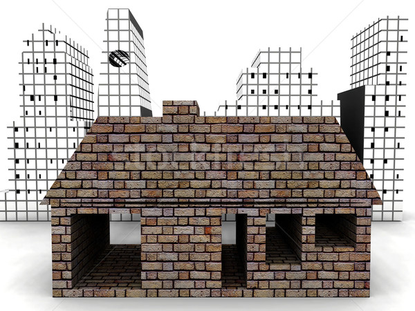my house Stock photo © njaj