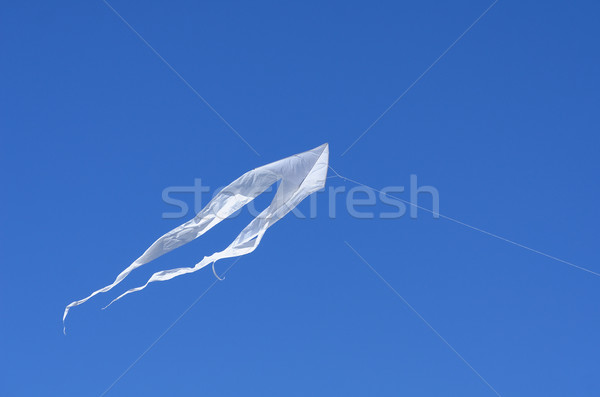 Uçurtma uçmak oynamak şerit ücretsiz oyun Stok fotoğraf © njaj