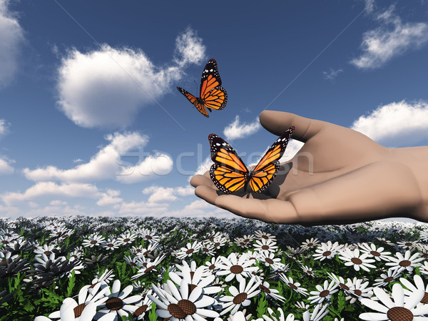 La nature belle papillon main jardin Photo stock © njaj