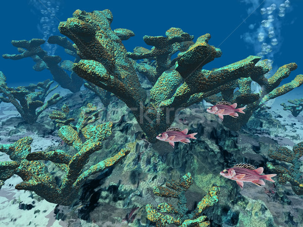 Coral peşte jos mare frumuseţe ocean Imagine de stoc © njaj