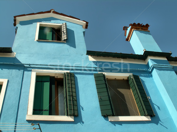 the blue house Stock photo © njaj