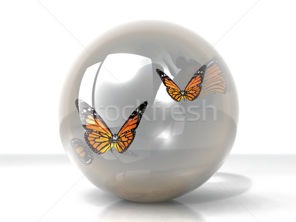 Stock photo: butterfly