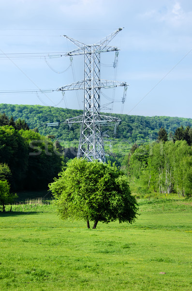 the little tree and the large electricity pylon Stock photo © njaj