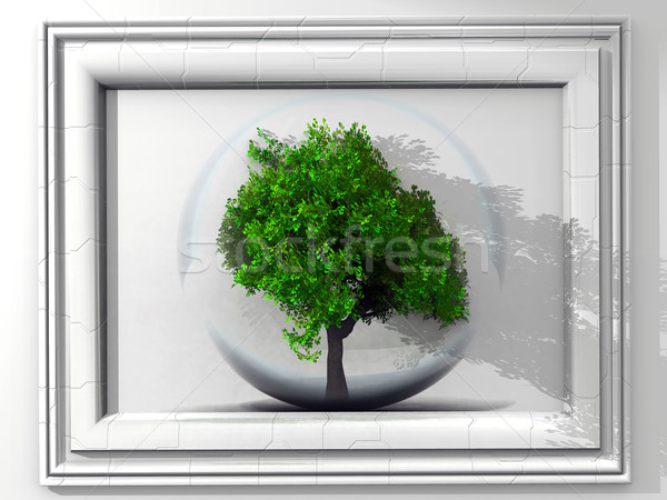 tree and frame Stock photo © njaj