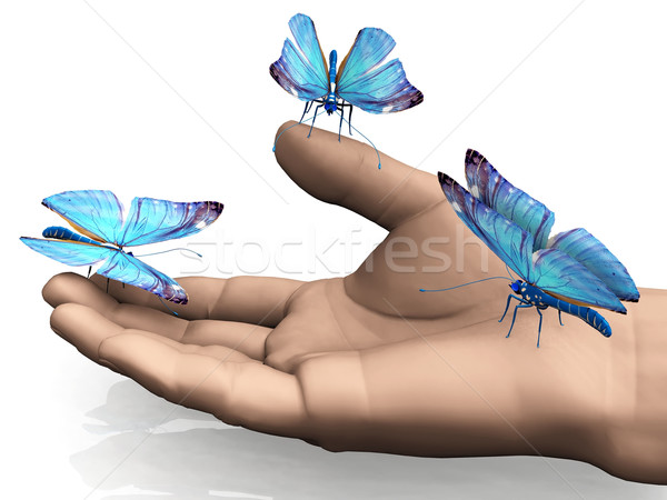 Stock foto: Schmetterling · schönen · Hand · Natur · Garten · Schönheit