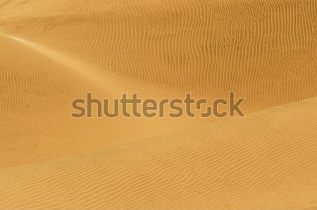 dunes of cerro blanco Stock photo © njaj