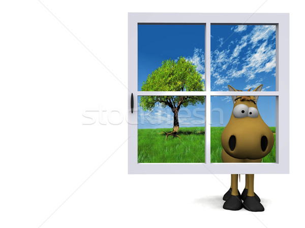 Caballo detrás azul ventana feliz moda Foto stock © njaj