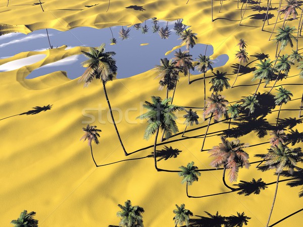 Oaza palmieri mic lac apă vară Imagine de stoc © njaj