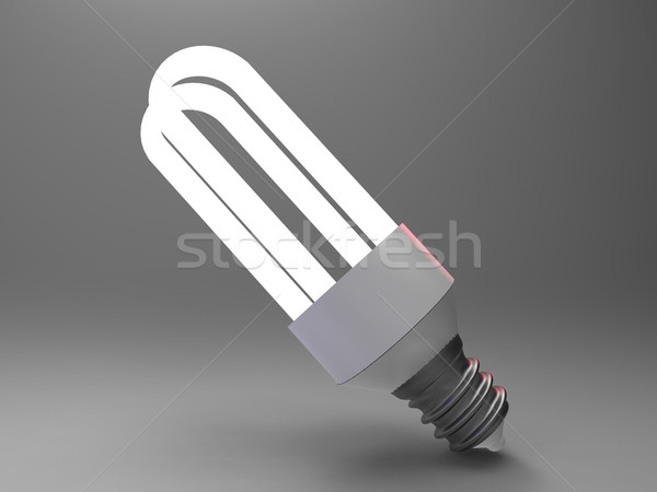 the ecologic light bulb Stock photo © njaj