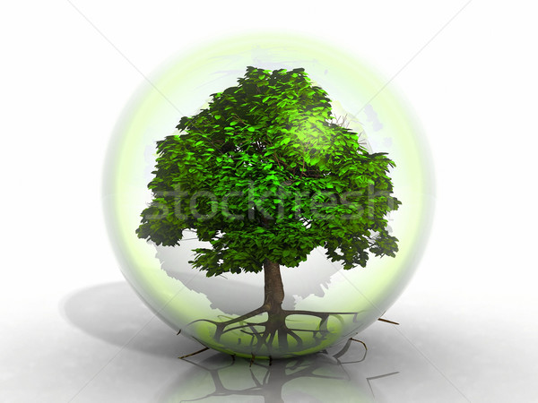tree in bubble Stock photo © njaj