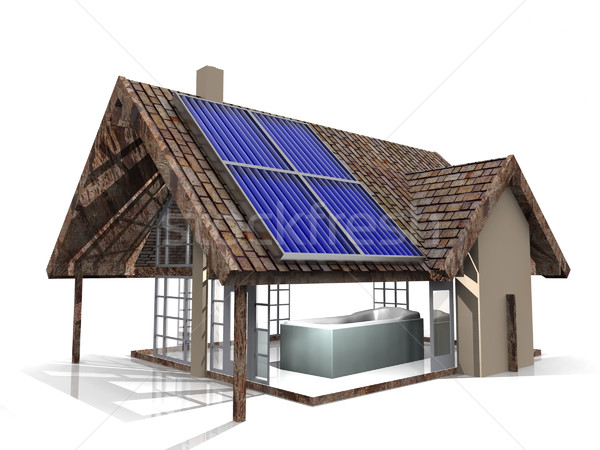 the house Stock photo © njaj