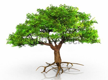 the tree in the hand Stock photo © njaj