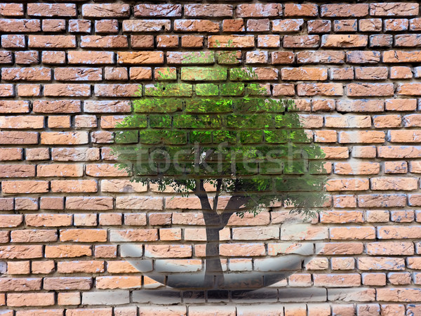 tree  bubble paint on brick wall Stock photo © njaj
