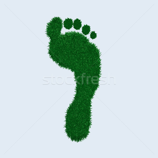 Green Grass Footprint Stock photo © nmarques74