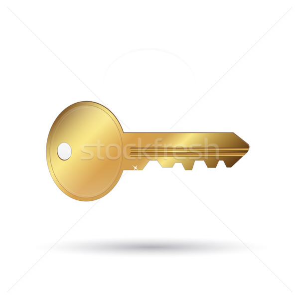 Gold Key Stock photo © nmarques74