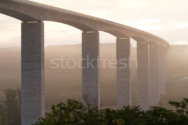 Large highway viaduct ( Hungary) Stock photo © Nneirda
