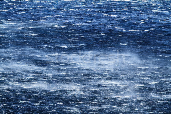 Meer wütend Wellen Wind Wasser Stock foto © Nneirda