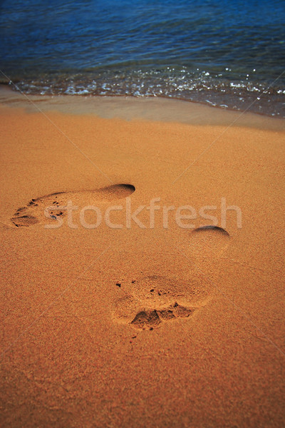 footstep Stock photo © Nneirda