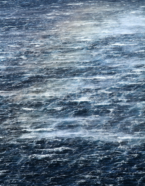 Raging sea with furious waves Stock photo © Nneirda