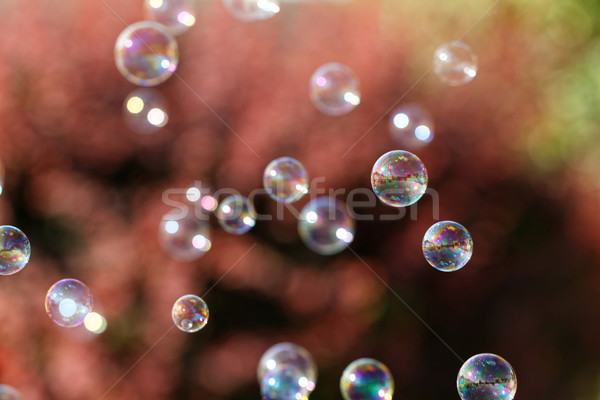 Stock photo: Soap bubbles