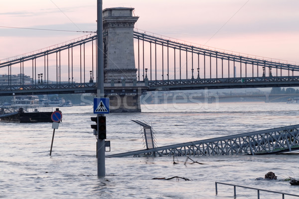 Donau Boedapest foto overstroming textuur boom Stockfoto © Nneirda