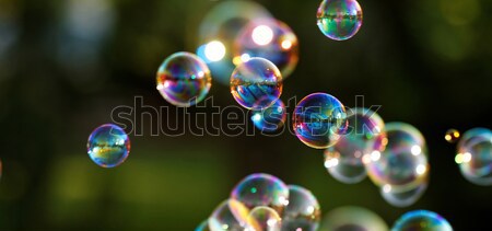 Stockfoto: Zeepbellen · regenboog · bubbels · bubble · blazer · ontwerp