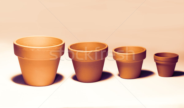 Flowerpots Stock photo © Nneirda