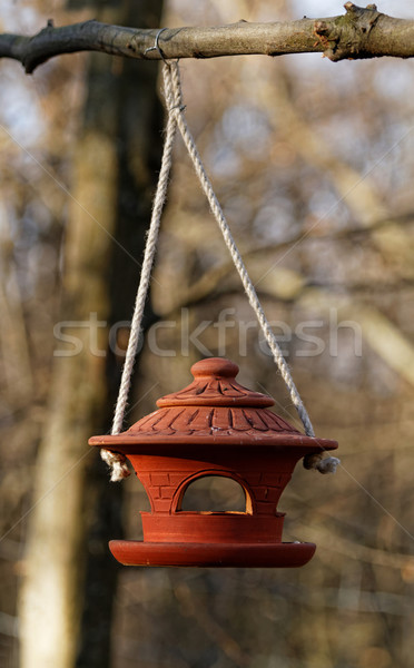 Bird feeder Stock photo © Nneirda