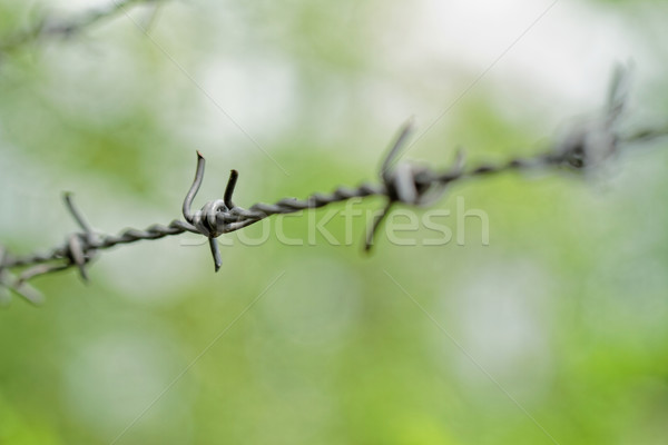 Filo spinato verde sicurezza blu acciaio recinzione Foto d'archivio © Nneirda