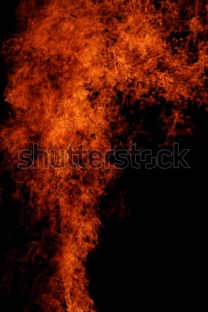 Fire background Stock photo © Nneirda