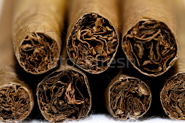 Cigars Stock photo © Nneirda