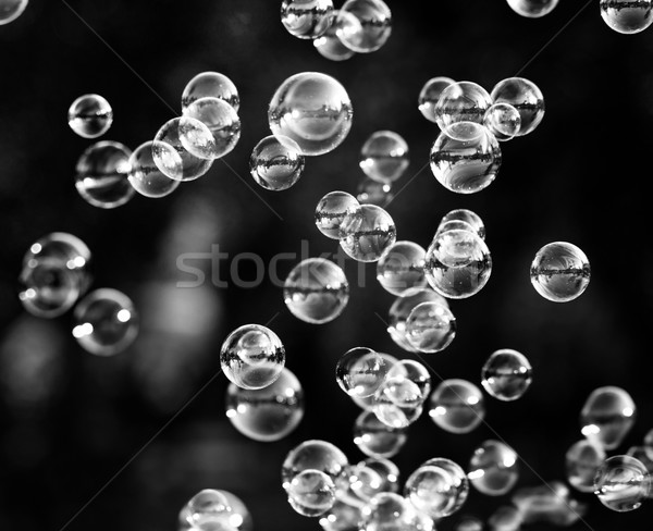 Sabun köpüğü gümüş kabarcıklar kabarcık üfleyici dizayn Stok fotoğraf © Nneirda