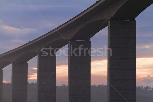 Large highway viaduct ( Hungary) Stock photo © Nneirda