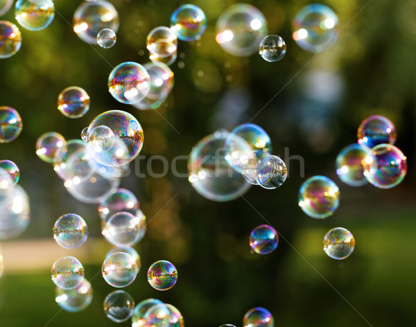 Zeepbellen regenboog bubbels bubble blazer water Stockfoto © Nneirda