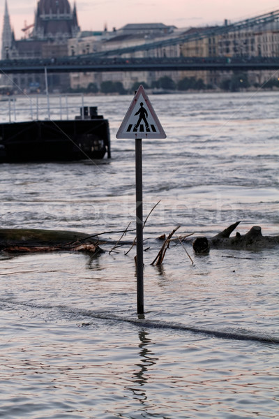 Danubio Budapest foto inundación agua árbol Foto stock © Nneirda