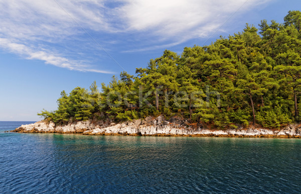 Groene eiland foto mooie zee boom Stockfoto © Nneirda