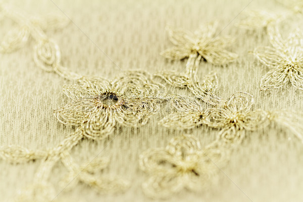 Beautiful lace Stock photo © Nneirda