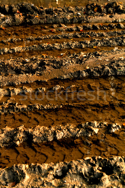 Dirty broken rural road  Stock photo © Nneirda