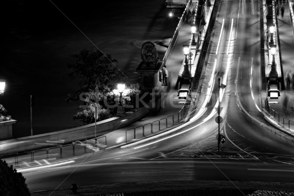 Stock fotó: Tömegközlekedés · függőhíd · éjszaka · Budapest · víz · út