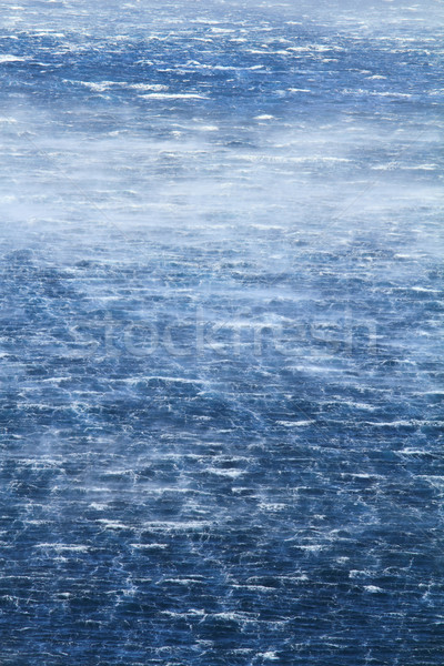 Raging sea with furious waves Stock photo © Nneirda
