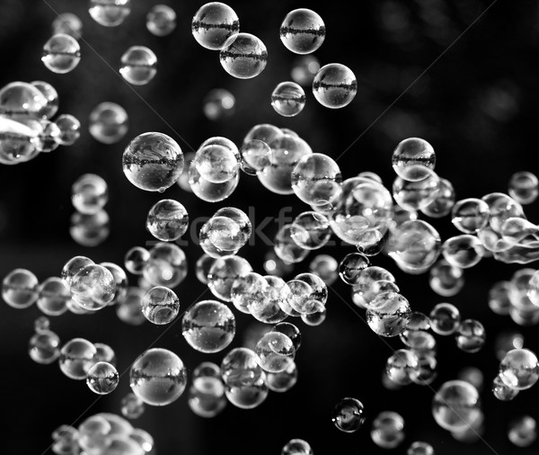 Seifenblasen Silber Blasen Blase Gebläse Design Stock foto © Nneirda
